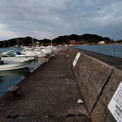 サビキ釣りで、サバとアジ釣れました!!
