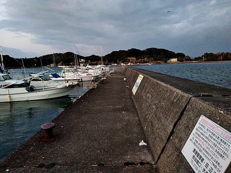 サビキ釣りで、サバとアジ釣れました!!