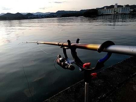 久しぶりのいっぱいでした!!