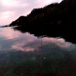 アジングに挑戦中!!