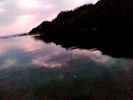 アジングに挑戦中!!