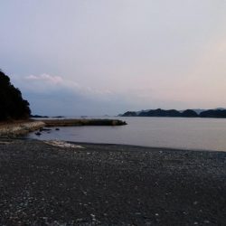 すくすくと成長。