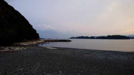 すくすくと成長。