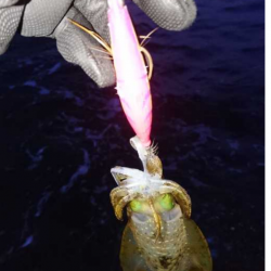 爆風覚悟で出撃