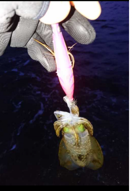 爆風覚悟で出撃