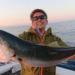 スカイマリン 釣果