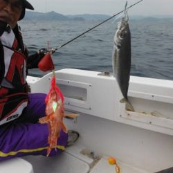 開進丸 釣果