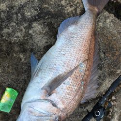 魚にも偏食がある？喰わせのキモとは【ずん氏連載 vol.8】