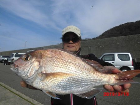 大進丸（新潟） 釣果