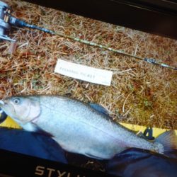 フィッシングレイクたかみや 釣果