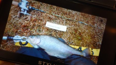 フィッシングレイクたかみや 釣果