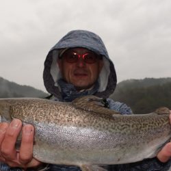 フィッシングレイクたかみや 釣果