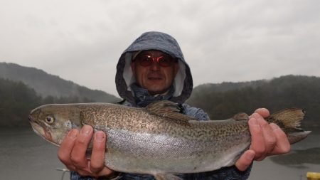 フィッシングレイクたかみや 釣果