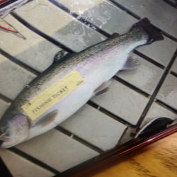 フィッシングレイクたかみや 釣果