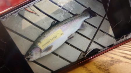 フィッシングレイクたかみや 釣果