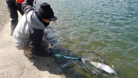 フィッシングレイクたかみや 釣果