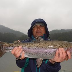 フィッシングレイクたかみや 釣果