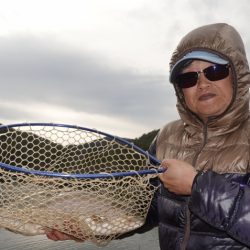 フィッシングレイクたかみや 釣果