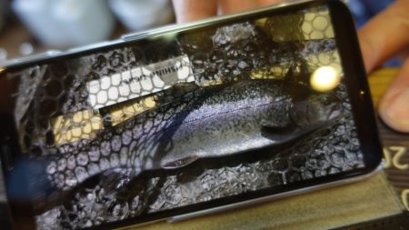 フィッシングレイクたかみや 釣果