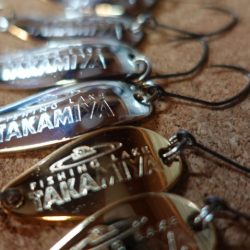 フィッシングレイクたかみや 釣果