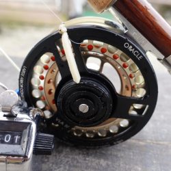 フィッシングレイクたかみや 釣果