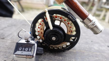 フィッシングレイクたかみや 釣果