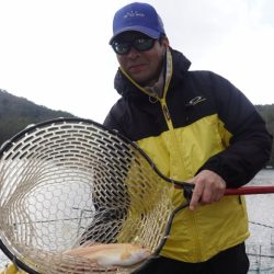 フィッシングレイクたかみや 釣果