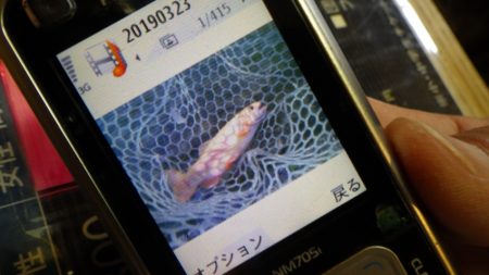 フィッシングレイクたかみや 釣果