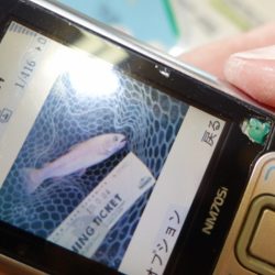 フィッシングレイクたかみや 釣果