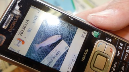 フィッシングレイクたかみや 釣果