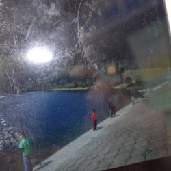 フィッシングレイクたかみや 釣果