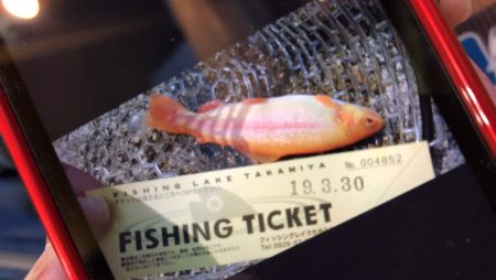 フィッシングレイクたかみや 釣果