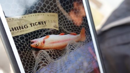 フィッシングレイクたかみや 釣果