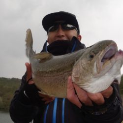 フィッシングレイクたかみや 釣果