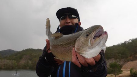 フィッシングレイクたかみや 釣果