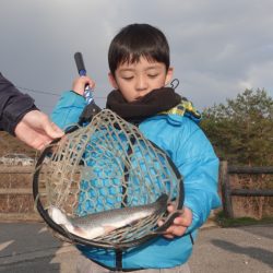フィッシングレイクたかみや 釣果