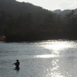 フィッシングレイクたかみや 釣果