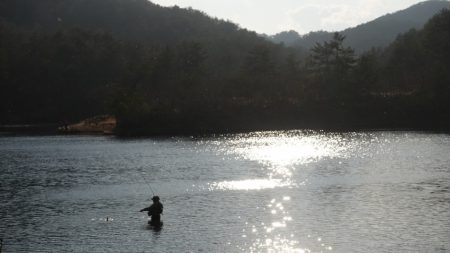 フィッシングレイクたかみや 釣果