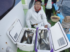 久里浜黒川本家 釣果