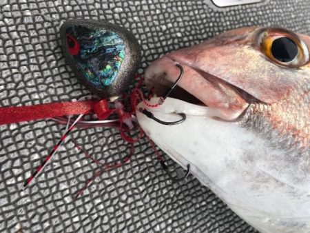 へいみつ丸 釣果