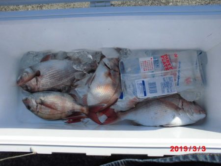 大進丸(新潟) 釣果