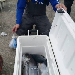 第五慶門丸 釣果