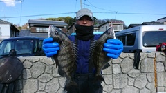 まこと渡船 釣果