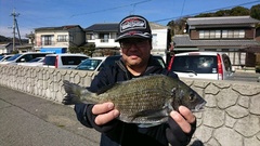 まこと渡船 釣果