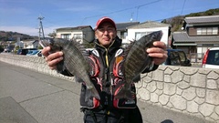 まこと渡船 釣果