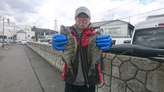 まこと渡船 釣果