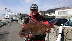 まこと渡船 釣果
