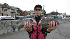 まこと渡船 釣果