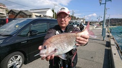 まこと渡船 釣果
