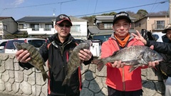 まこと渡船 釣果